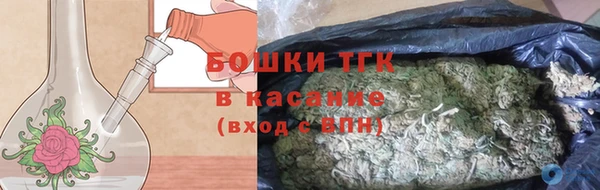 шишки Абаза