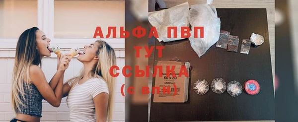 шишки Абаза