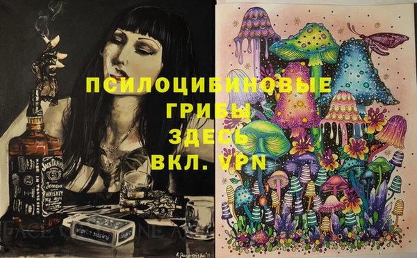крисы Алексин