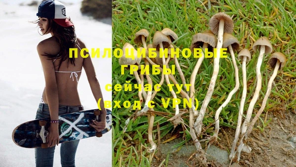 хмурый Алексеевка