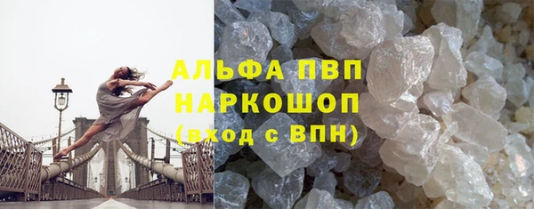 крисы Алексин